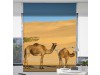 stor digital enrollable camellos del desierto