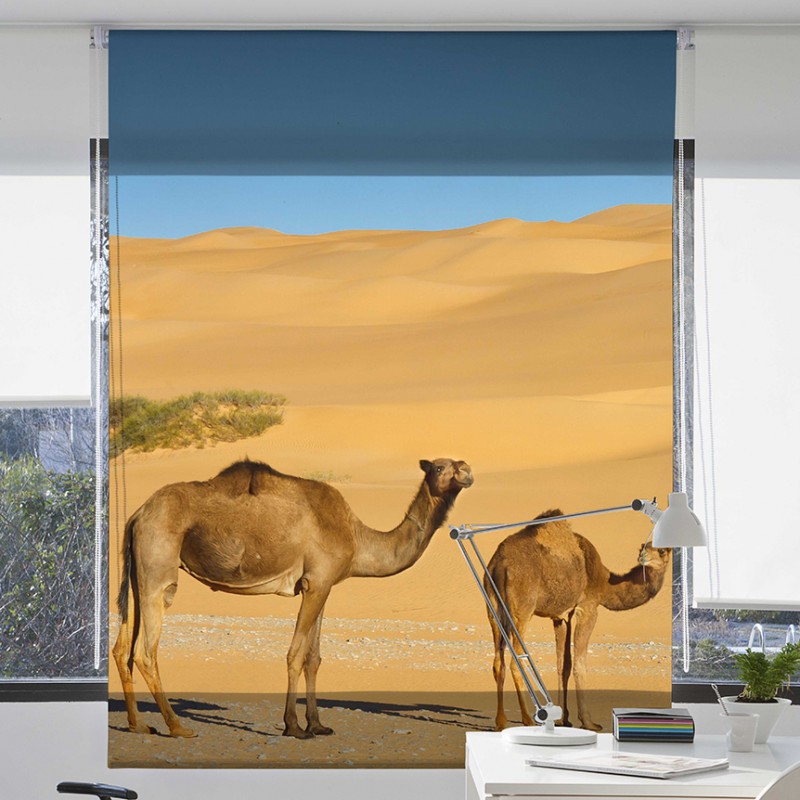  stor digital enrollable camellos del desierto 