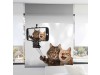 stor digital enrollable selfi gatitos